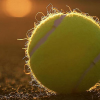 Mort de tous les joueurs de tennis du monde