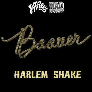 Pochette Harlem Shake