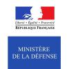 Ministro de Defensa de Francia