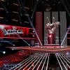 The Voice (France)