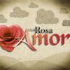 Una Rosa con Amor